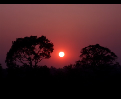Cambodia Angkor Sunsets 12