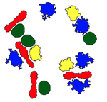 Mixed Cell Types