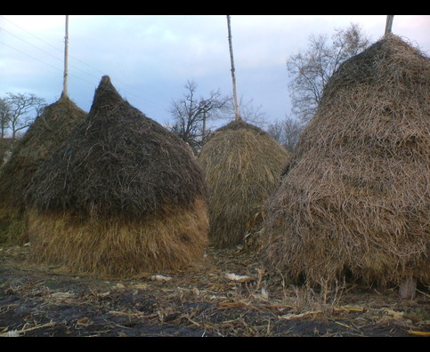 Romania Rural Life 4