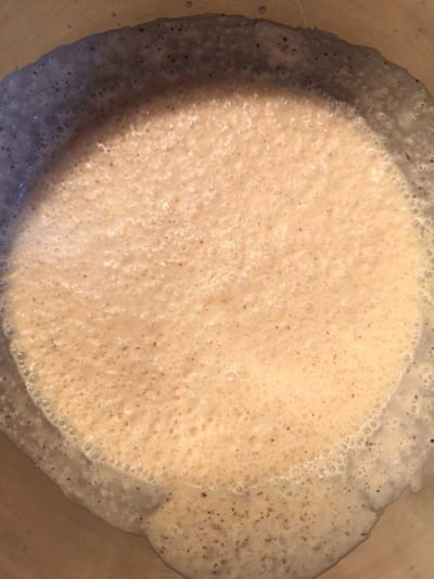 fotografía del plato