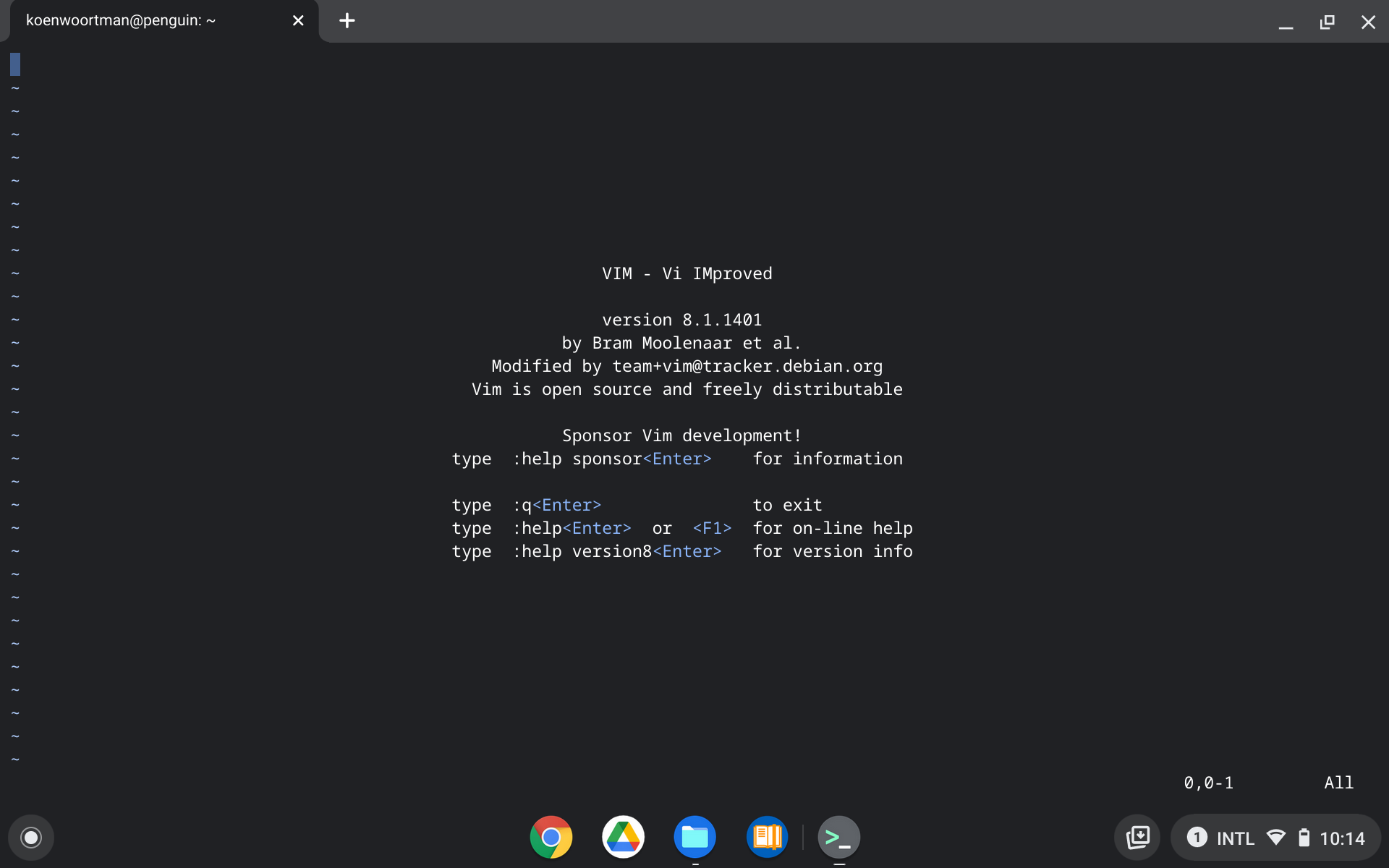 ChromeOS Linux Vim