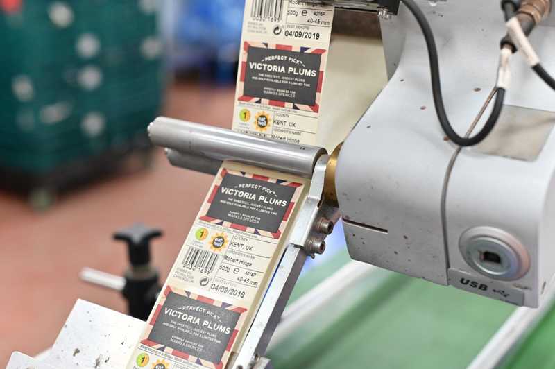 A machine printing fruit labels.