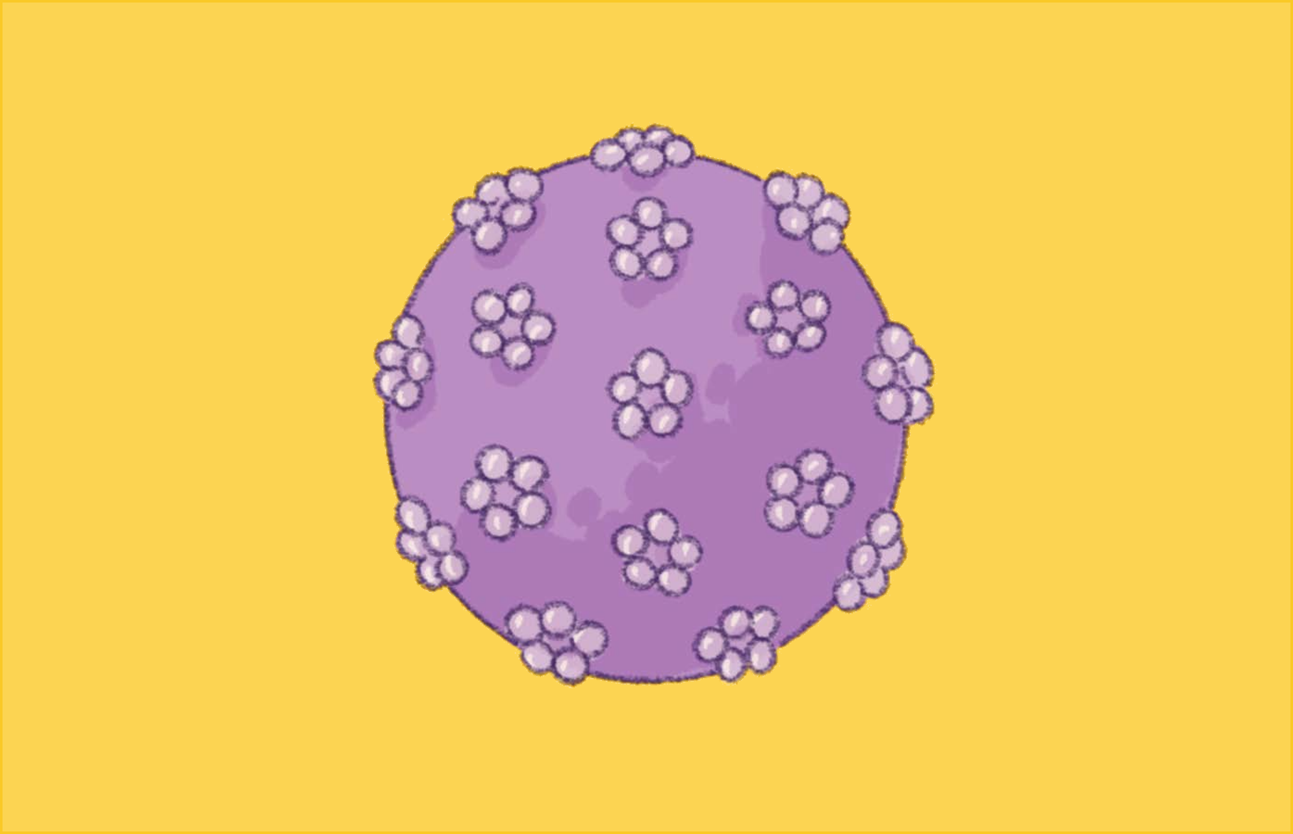 HPV