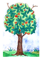 Seasons in a Tree’s Rooted Life Seasons in a Tree’s Rooted Life