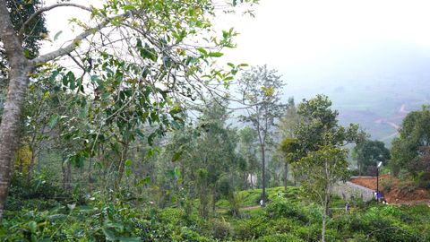 Plot 5 at Vista Chiaro for sale