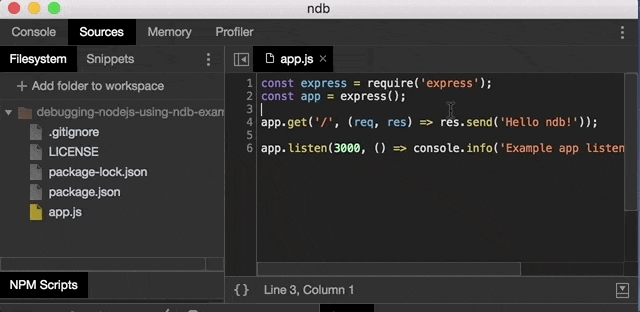 Running an npm script