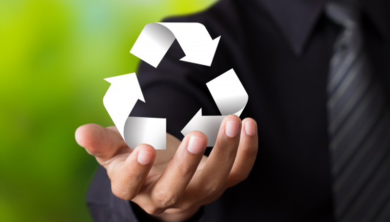 Imagem em destaque para o artigo: Aprenda a criar uma marca realmente sustentável