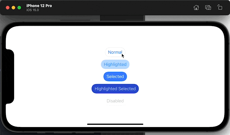 How to make a custom button style with UIButton.Configuration in ...