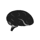 Brain