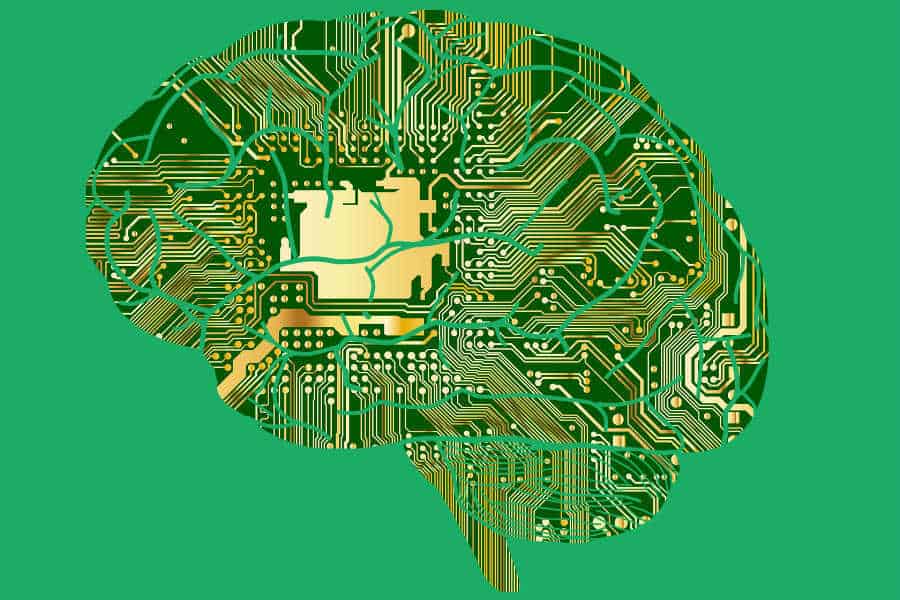 RankBrain: How a Search Engine AI Ranks Your Website