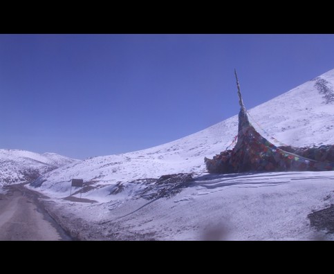 China Tibetan Snow 12