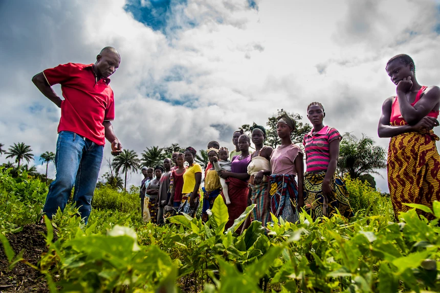 A farmer field school in Liberia