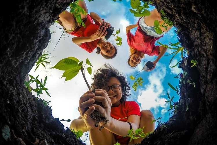 Fellow trail runners? Planting trees
