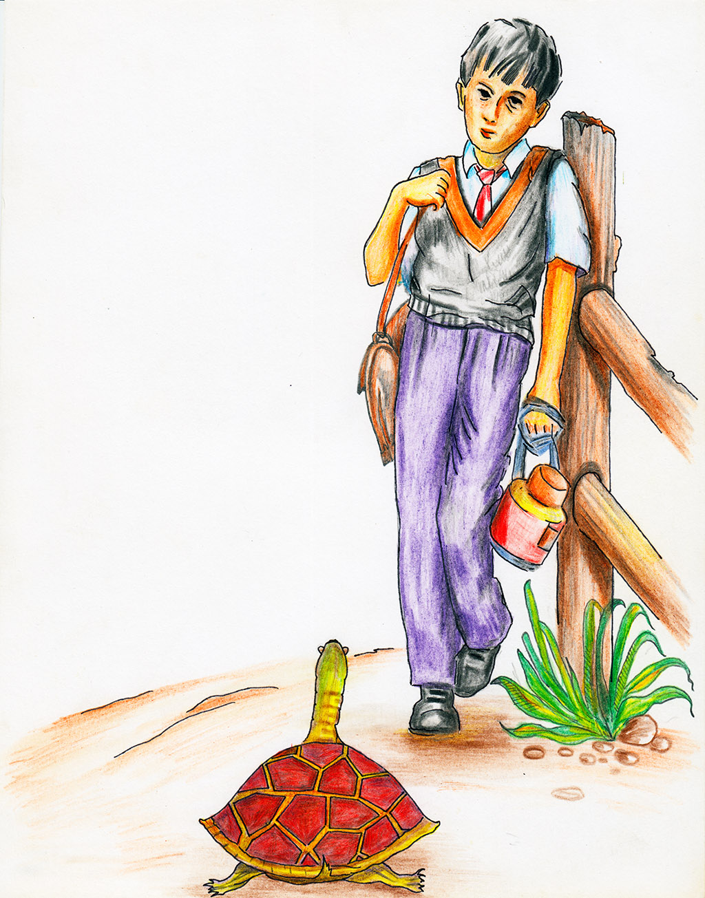The Adventures of a Magic Turtle