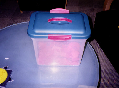 Raffle tickets in a container at the first Animarathon.