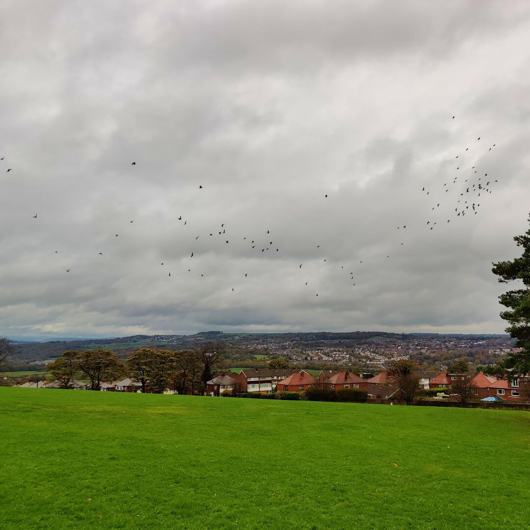 Bramley Park Discover Leeds