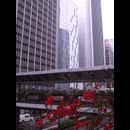 Hongkong Buildings 16