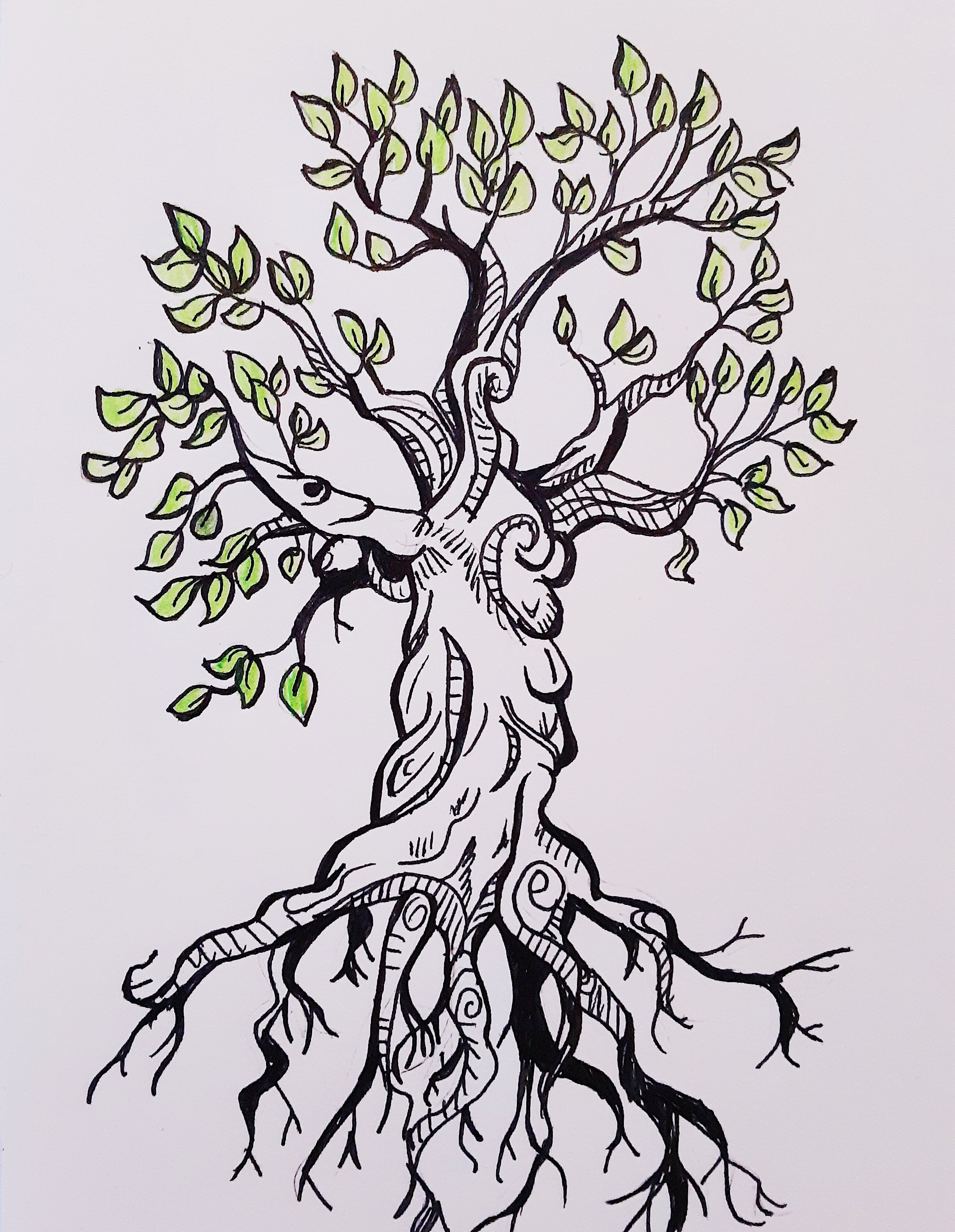 Tree Tree