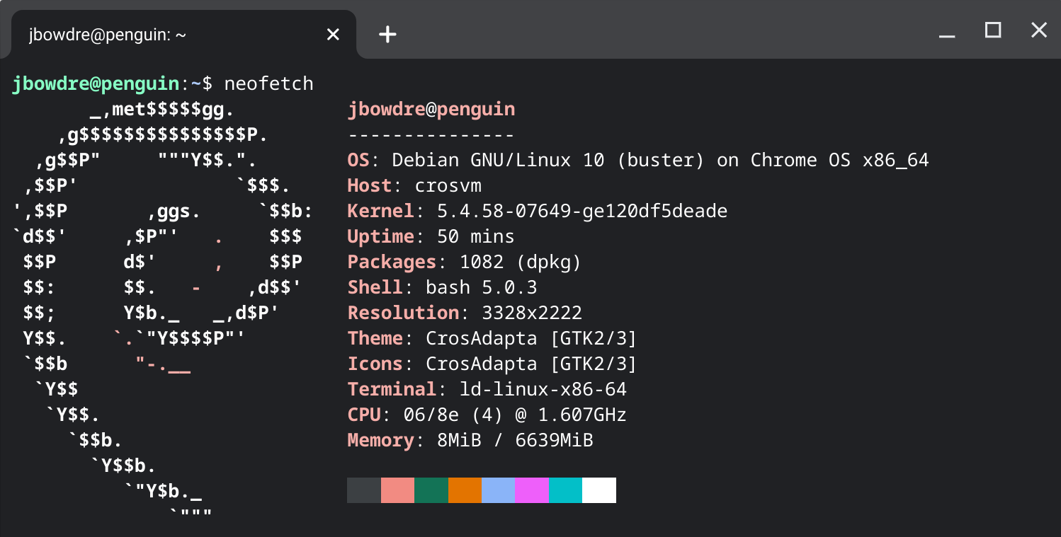 Neofetch in the Crostini terminal
