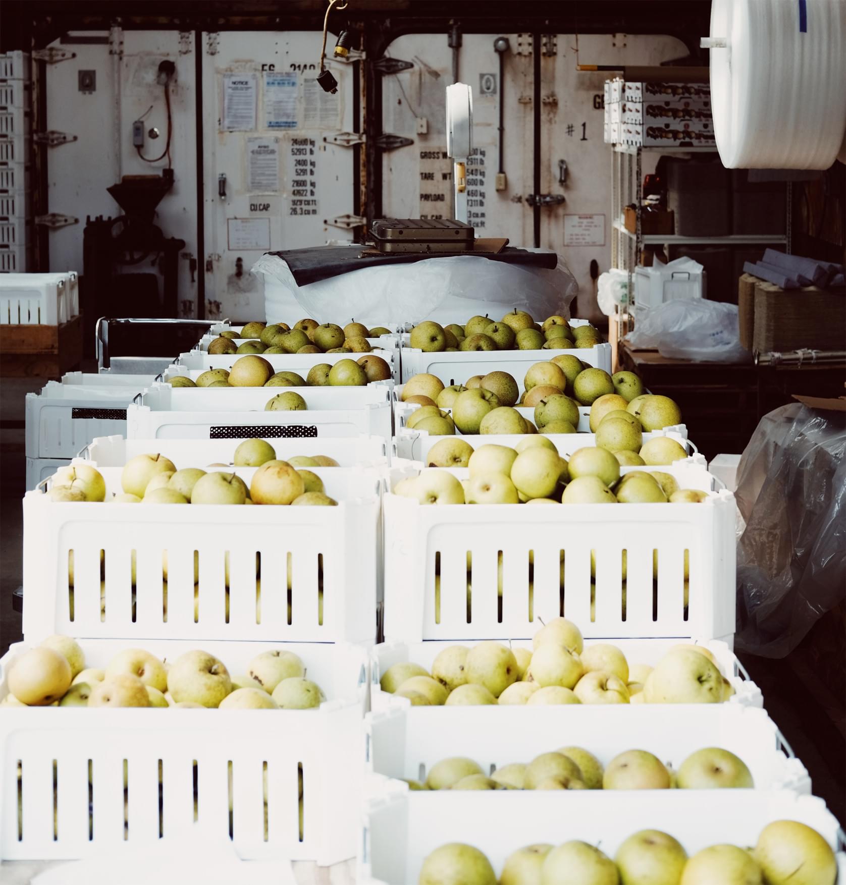 Entrepôts de pommes.