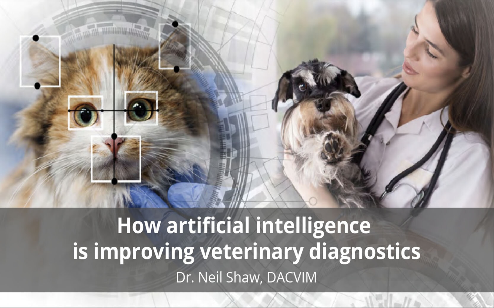 improving-veterinary-diagnostics