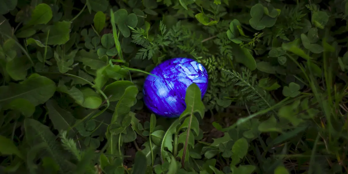 stylish cover image of a blue easter egg in green foliage