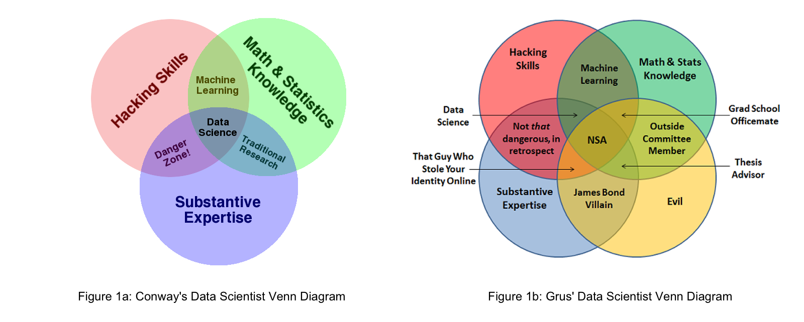 The Role of the Data Scientist