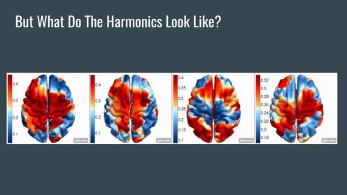 harmonic brains close up