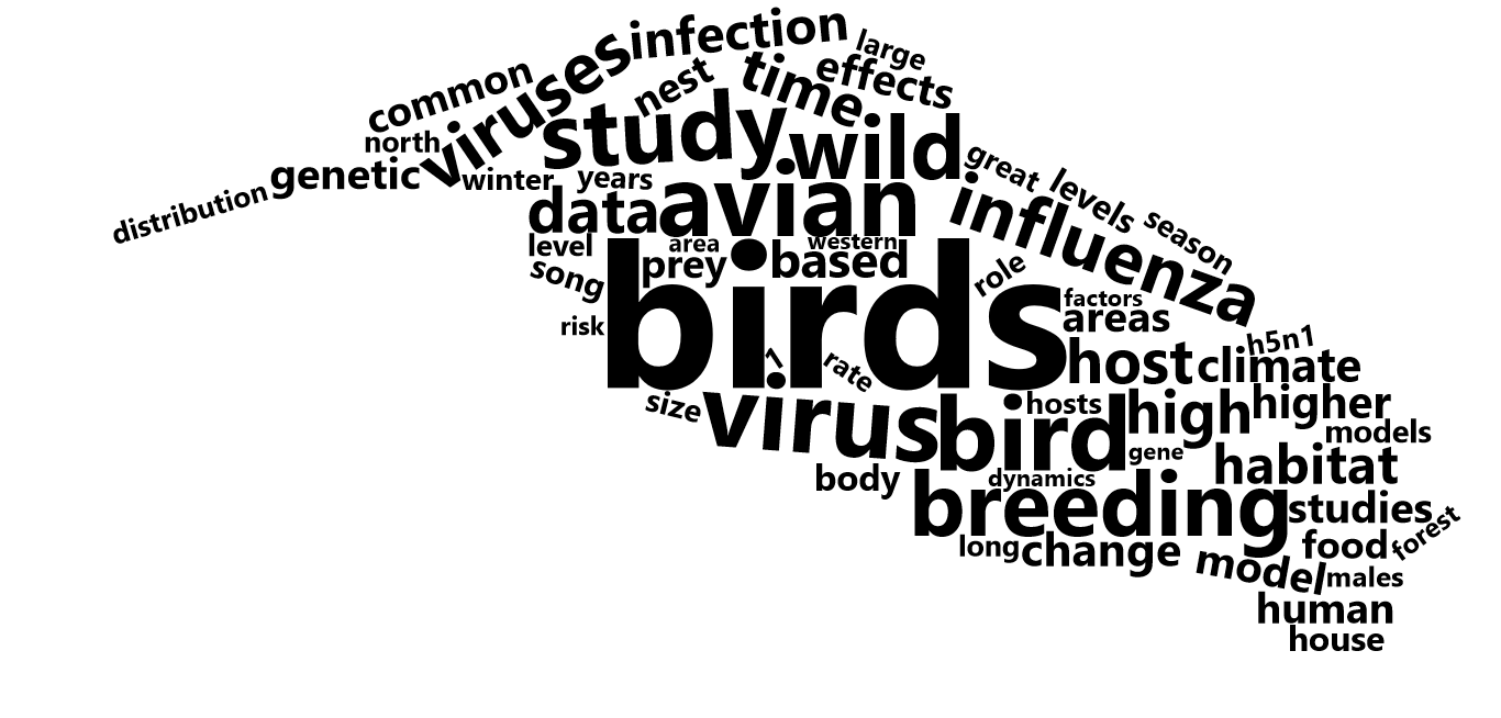 wordcloud shaped as a bird