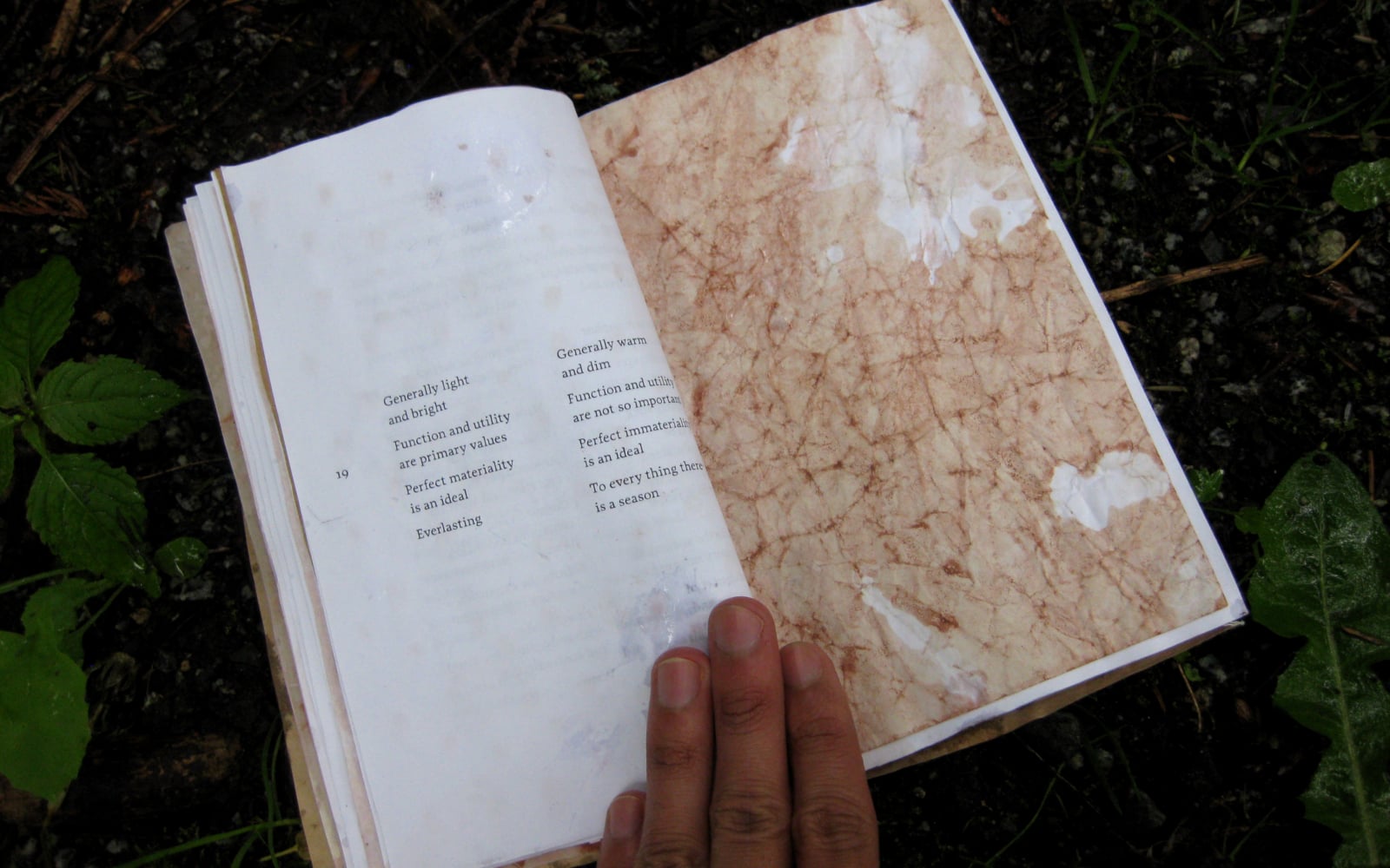 an open book on a wet forest floor. The left page contains text, the right page is blank and has been treated with ink.