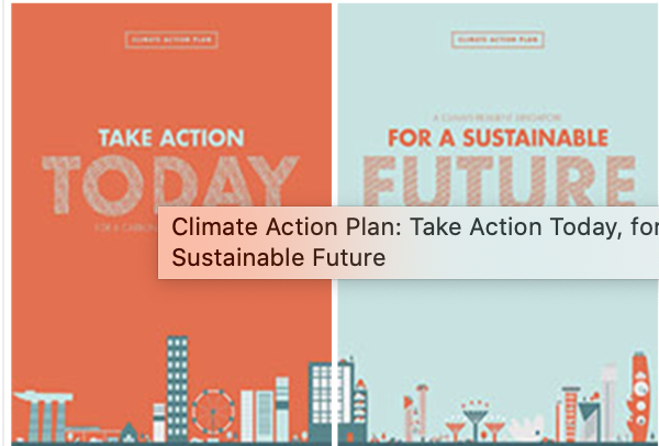 Climate Action Plan (Summary)