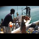 Somalia Fishermen 4