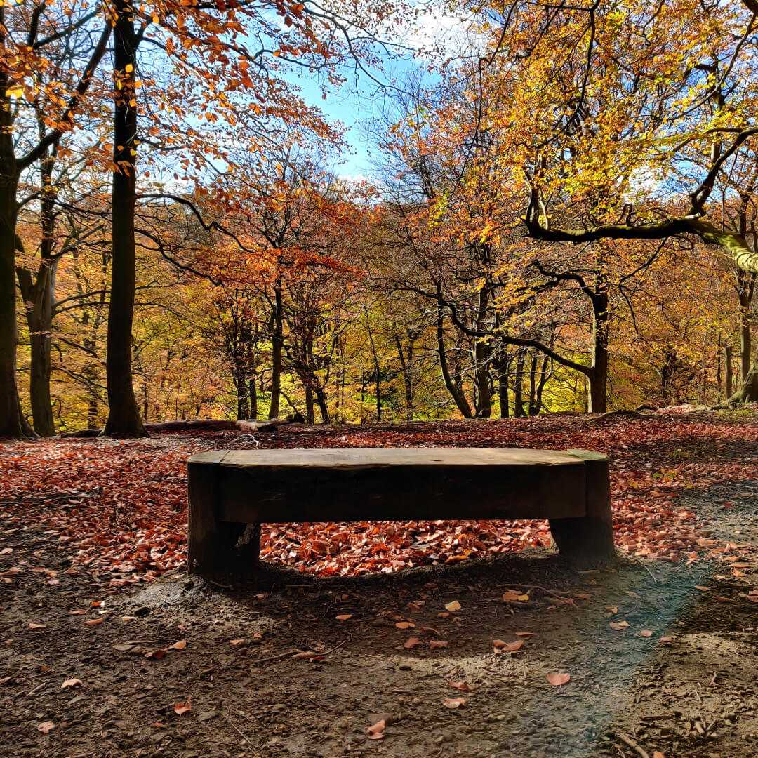 Gledhow Valley Woods bench at top of gill