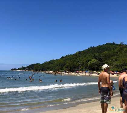 VIsta da ponta da praia, com mar ao fundo e no canto direito a vegetação com faixa de areia