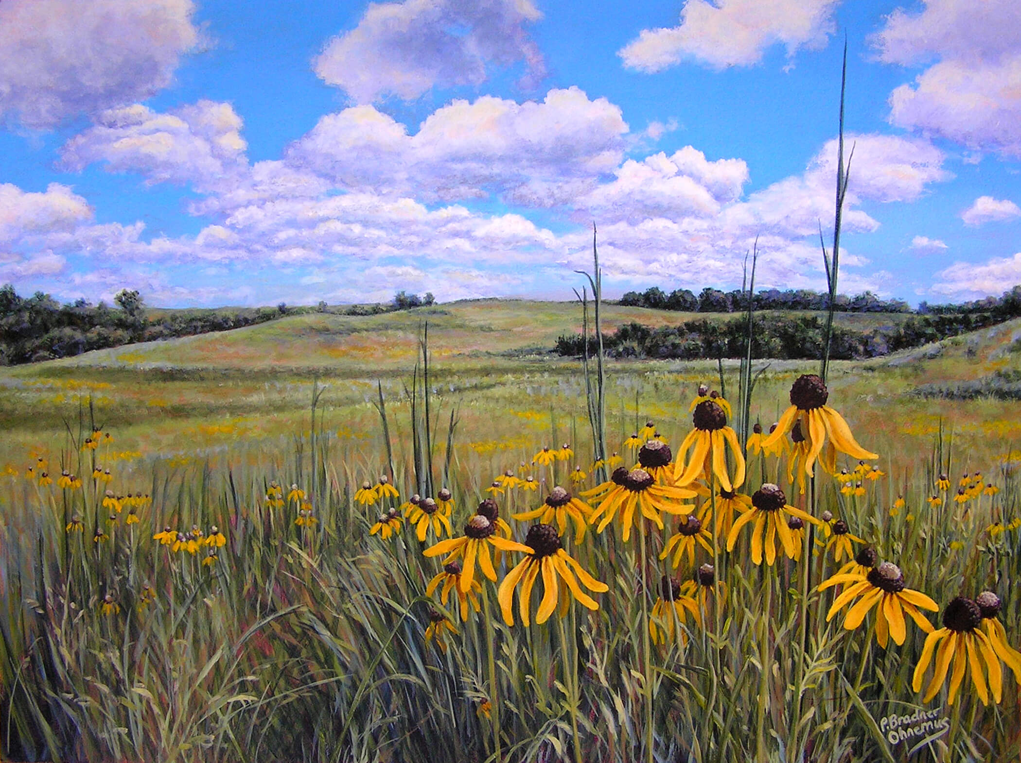Pam Ohnemus and Midwest Prairie Paintings