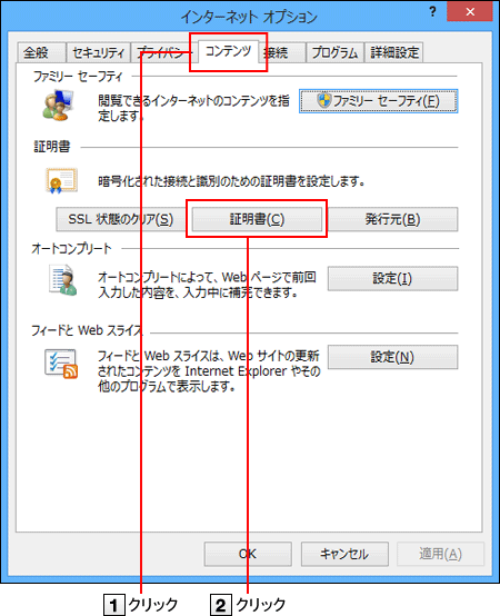 Internet Explorer Windows版