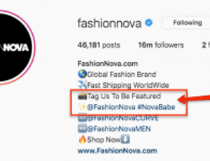 Who Delivers Fashion Nova Packages?