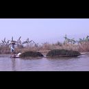 Burma Inle Boats 20