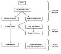 Model of the Human Processor
