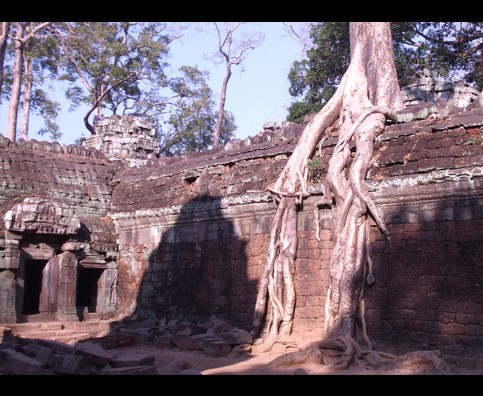 Cambodia Ta Prohm 26