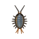 Wharf Roach