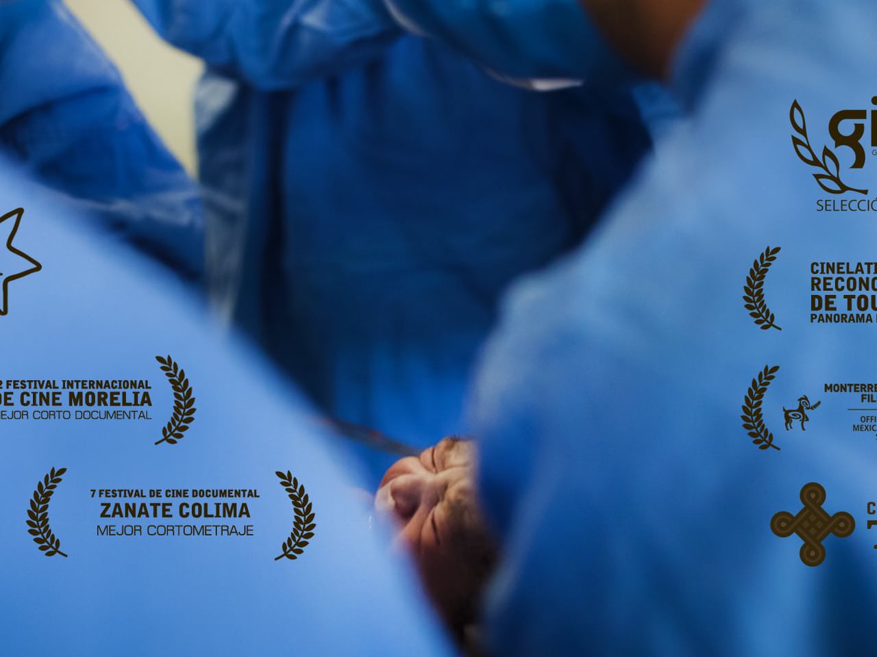 Celebrate Mexico Now 2015: 12th Morelia International Film Festival Winners