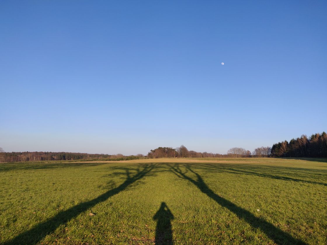 The moon is visible in a completely blue late-afternoon sky. The shadows of two trees and the photographer reach long onto a green meadow.