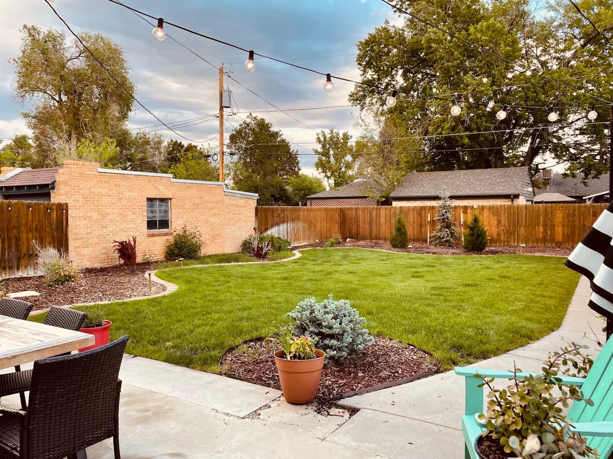A small patio transitions into a bright green lawn in the early spring evening. A few plants dot the yard, and bistro lights shine out of focus just above the camera.