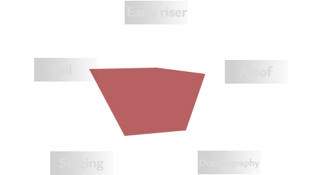 Radar chart of Shiro’s personality traits