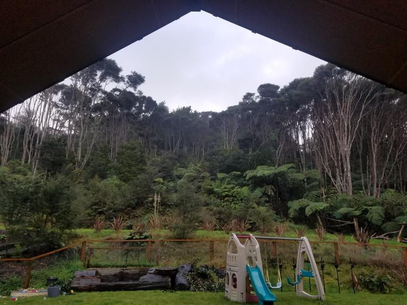 View into the bush from the covered porch