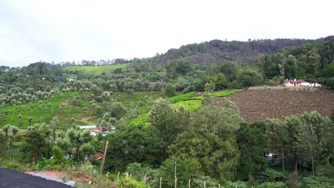 View of Hillocks