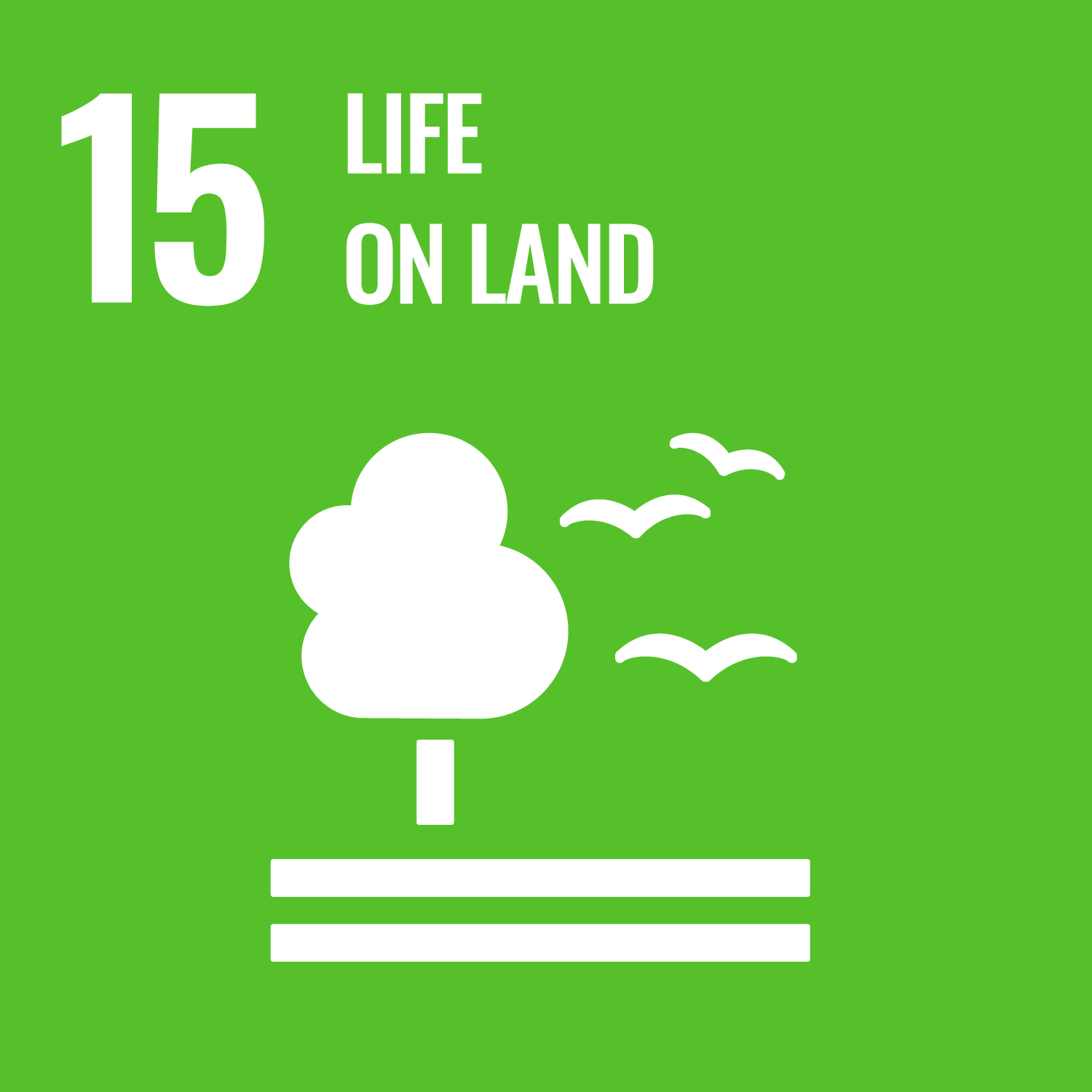 SDG Goal 15 - Life on Land icon