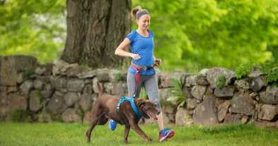 Tips and a Training Plan for Running With Your Dog