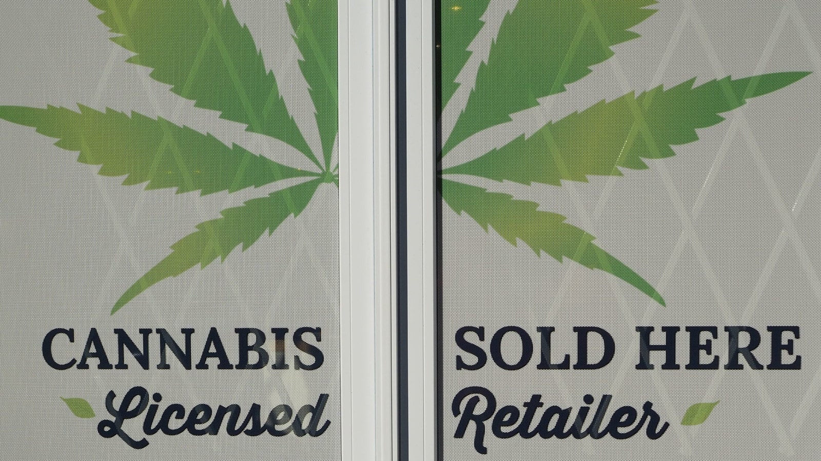Cannabis Dispensary Retail Business